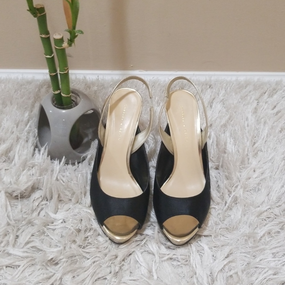 Charles & Keith Slingback Heels